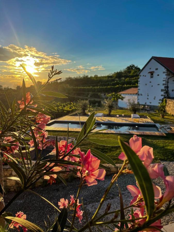 Skerlj Wine Estate Pensionat Tomaj Exteriör bild