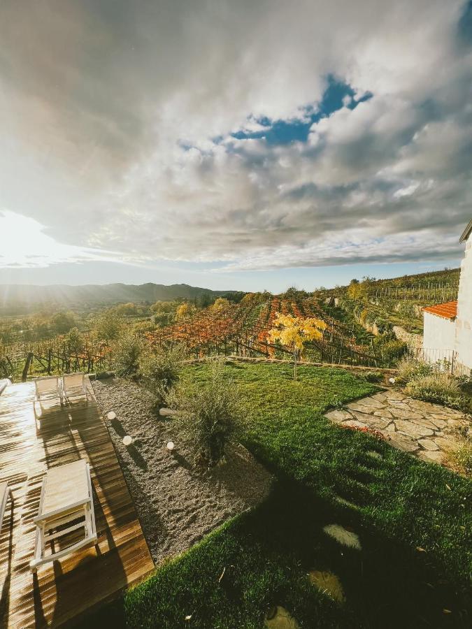 Skerlj Wine Estate Pensionat Tomaj Exteriör bild